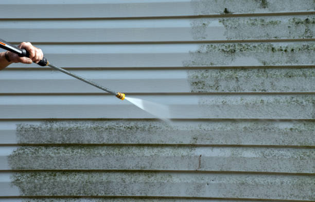 Best Driveway Pressure Washing  in Harrison, NJ